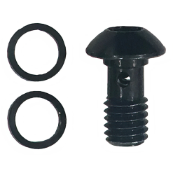 Hayes Caliper Banjo Bolt